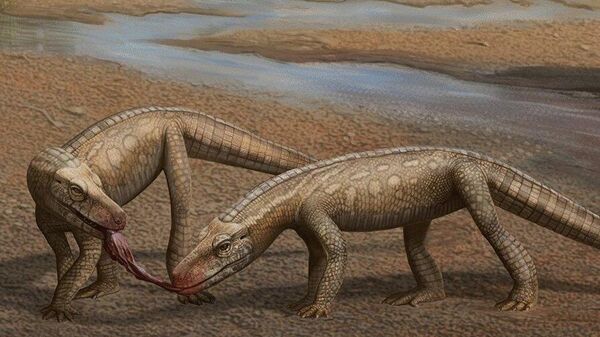 Representação do Parvosuchus aurelioi, réptil anterior aos dinossauros que habitou a região Sul do Brasil há 237 milhões de anos, cujo fóssil foi descoberto em 2024 por paleontólogos brasileiros - Sputnik Brasil
