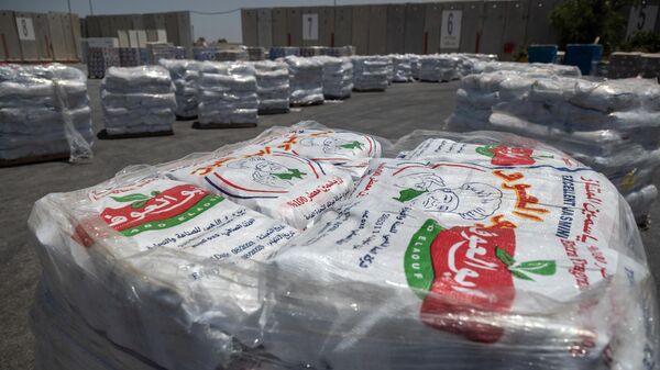 Ajuda humanitária para a Faixa de Gaza espera para ser carregada em caminhões na passagem de fronteira de Kerem Shalom, entre o sul de Israel e Gaza, em 17 de junho de 2024 - Sputnik Brasil