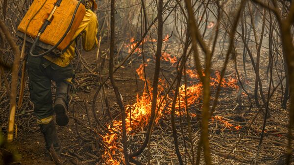 Brigadistas de comunidade quilombola ajudam a combater os focos de incêndio que destroem a vegetação no Pantanal. Mato Grosso, 30 de junho de 2024 - Sputnik Brasil