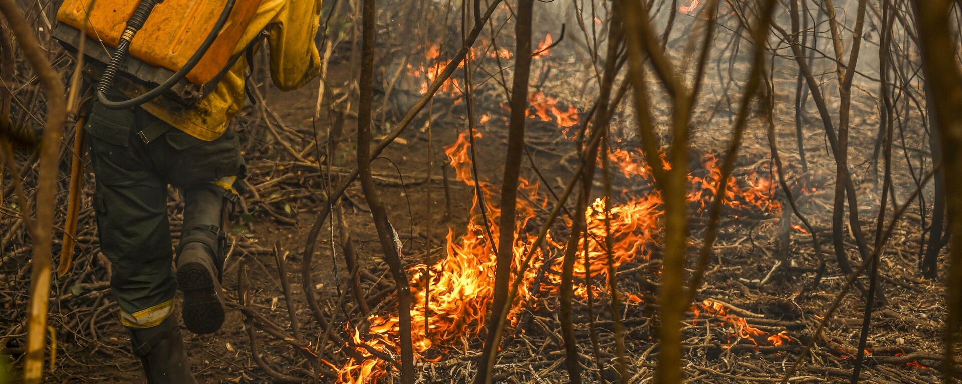 Brigadistas de comunidade quilombola ajudam a combater os focos de incêndio que destroem a vegetação no Pantanal. Mato Grosso, 30 de junho de 2024 - Sputnik Brasil, 1920, 01.07.2024