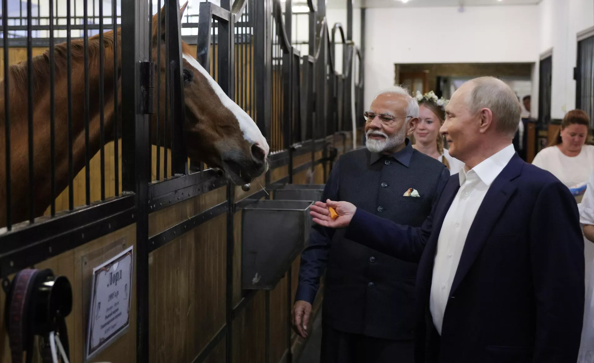 O presidente russo Vladimir Putin e o primeiro-ministro indiano Narendra Modi visitam estábulos de cavalos antes de seu encontro na residência estatal Novo-Ogarevo, nos arredores de Moscou, Rússia, 8 de julho de 2024 - Sputnik Brasil, 1920, 09.07.2024