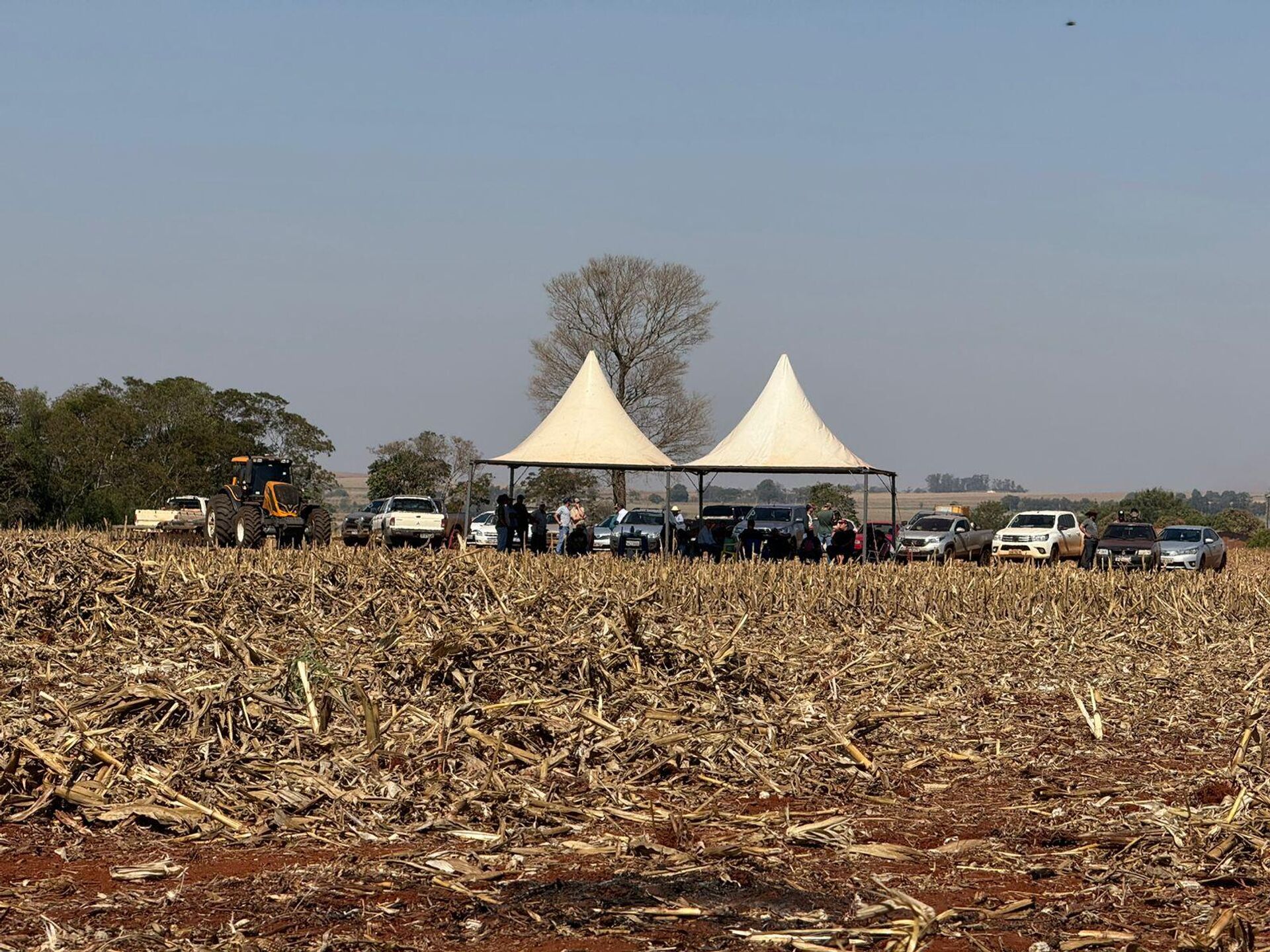 Caminhonetes de fazendeiros se reúnem próximo à Terra Indígena Panambi-Lagoa Rica, recentemente cercada de tensões entre produtores rurais e indígenas guarani-kaiowá. Douradina, Mato Grosso do Sul, julho de 2024 - Sputnik Brasil, 1920, 26.07.2024