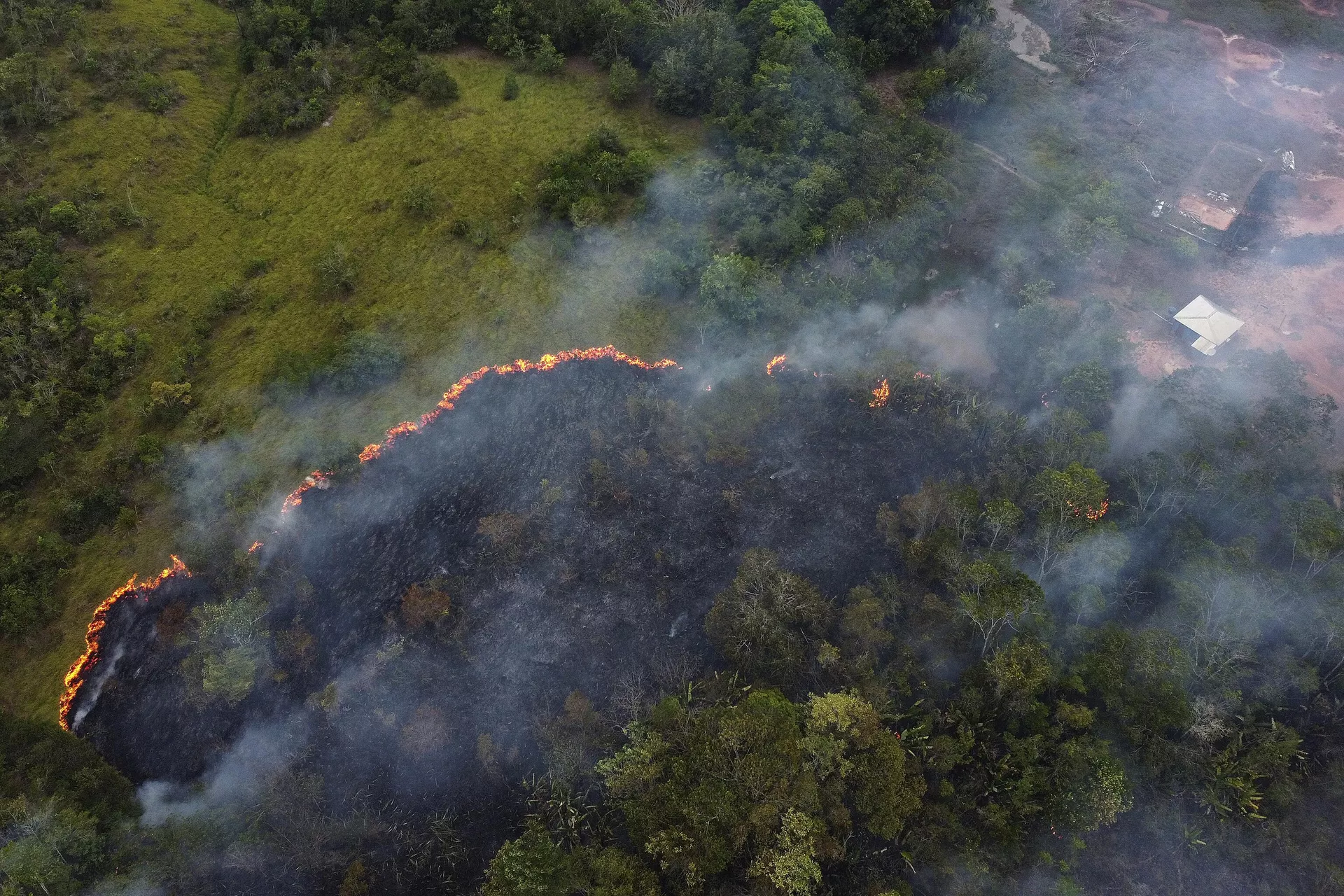 Uma floresta queima na Amazônia, no município de Manaquiri, no estado do Amazonas - Sputnik Brasil, 1920, 27.09.2024