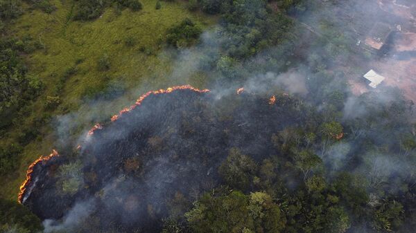 Uma floresta queima na Amazônia, no município de Manaquiri, no estado do Amazonas - Sputnik Brasil