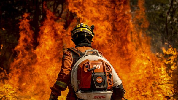 Brigadistas do Instituto Brasília Ambiental e Bombeiros do Distrito Federal combatem incêndio em área de cerrado próxima ao aeroporto de Brasília, em 24 de agosto de 2024 - Sputnik Brasil