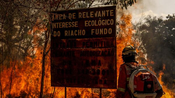 Brigadistas combatem incêndio de grandes proporções em área protegida do Cerrado. Brasília, 24 de agosto de 2024 - Sputnik Brasil