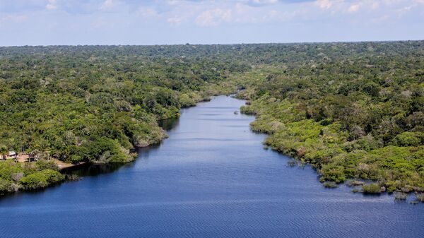 Um dos principais cursos d'água da Amazônia, rio Negro com floresta densa nas margens. Manaus, 6 de julho de 2024 - Sputnik Brasil