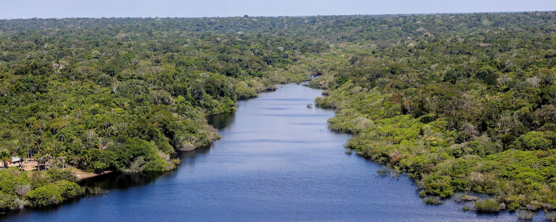 Um dos principais cursos d'água da Amazônia, rio Negro com floresta densa nas margens. Manaus, 6 de julho de 2024 - Sputnik Brasil, 1920, 05.09.2024