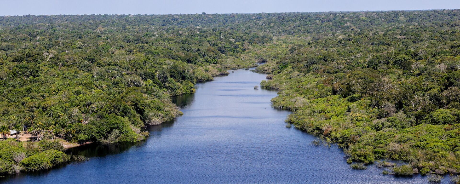 Um dos principais cursos d'água da Amazônia, rio Negro com floresta densa nas margens. Manaus, 6 de julho de 2024 - Sputnik Brasil, 1920, 25.11.2024