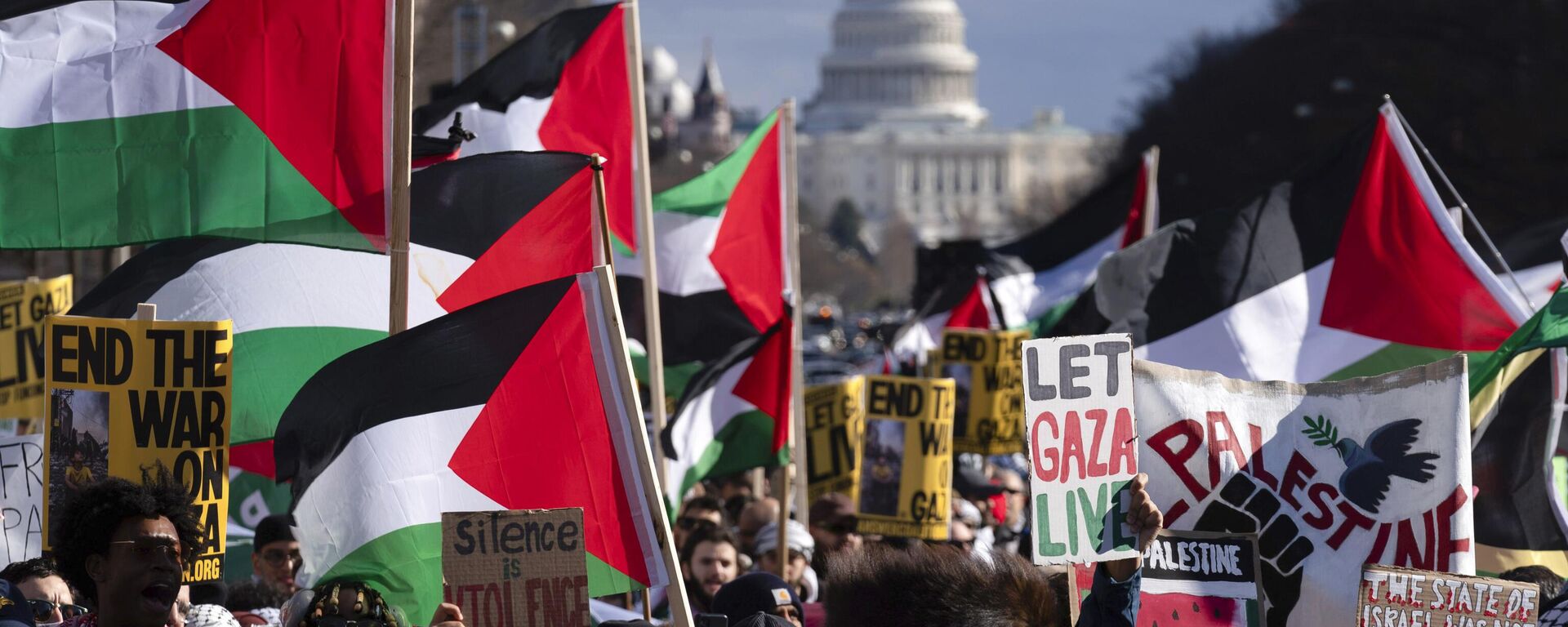 Manifestantes se reúnem durante a Marcha de Washington por Gaza em Washington, EUA, em 13 de janeiro de 2024 - Sputnik Brasil, 1920, 06.09.2024