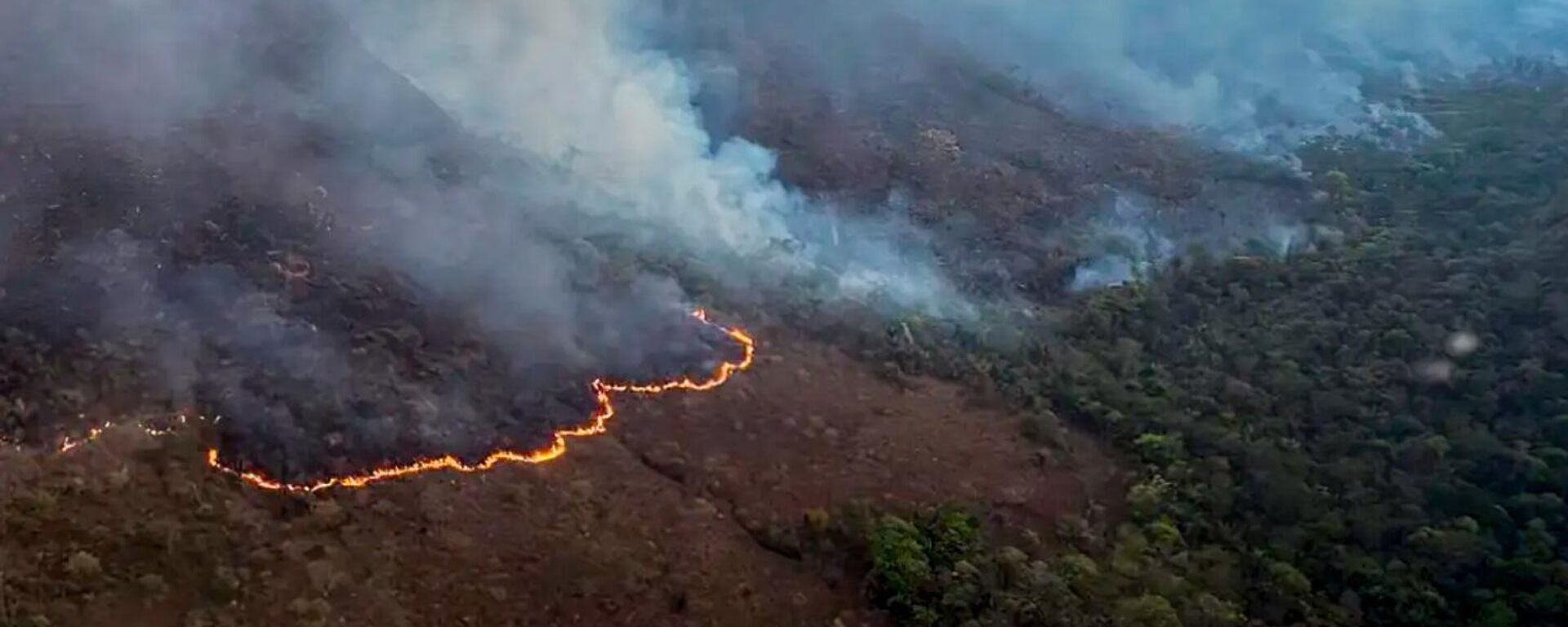 Incêndios no Brasil - Sputnik Brasil, 1920, 08.09.2024