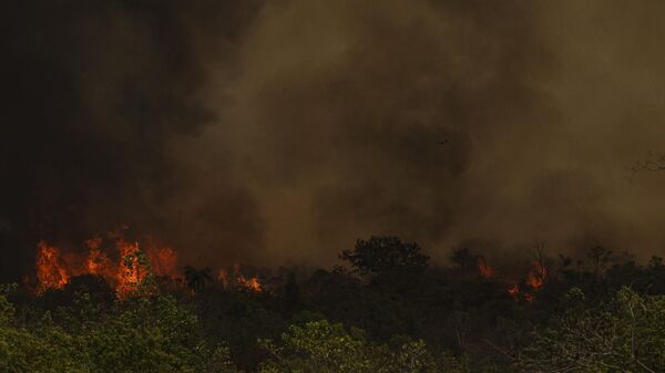 Grandes focos de incêndio registrados nas áreas do Parque Nacional de Brasília em meio à baixa umidade. Brasília, 18 de setembro de 2024 - Sputnik Brasil