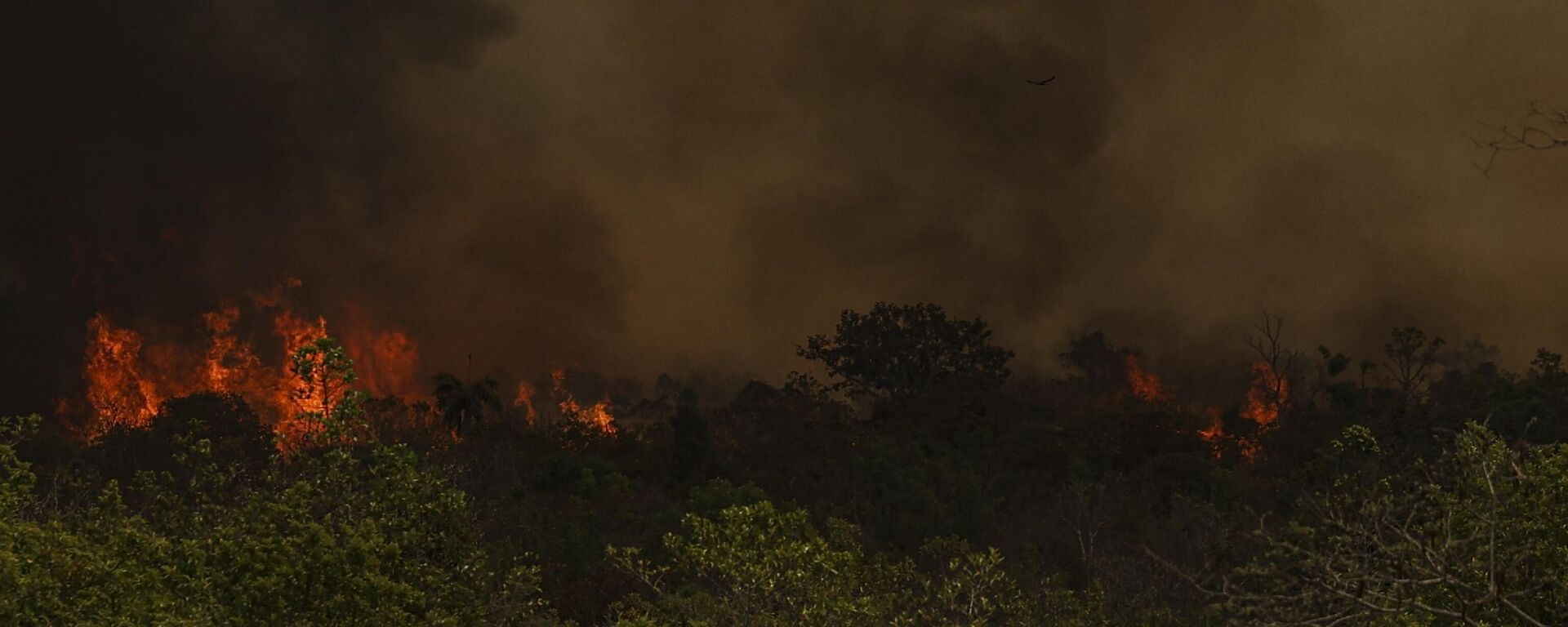 Grandes focos de incêndio registrados nas áreas do Parque Nacional de Brasília em meio à baixa umidade. Brasília, 18 de setembro de 2024 - Sputnik Brasil, 1920, 18.09.2024