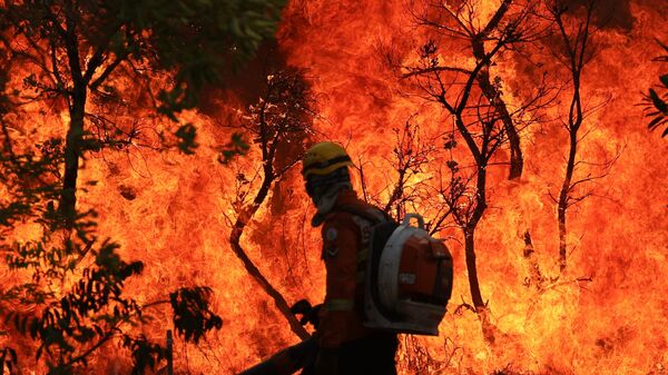 Bombeiros tentam conter chamas de incêndio que atingem o Parque Nacional de Brasília. Brasil, 15 de setembro de 2024 - Sputnik Brasil