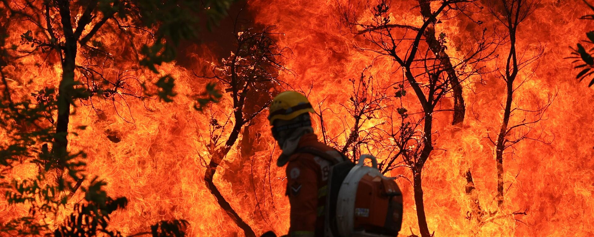 Bombeiros tentam conter chamas de incêndio que atingem o Parque Nacional de Brasília. Brasil, 15 de setembro de 2024 - Sputnik Brasil, 1920, 19.09.2024