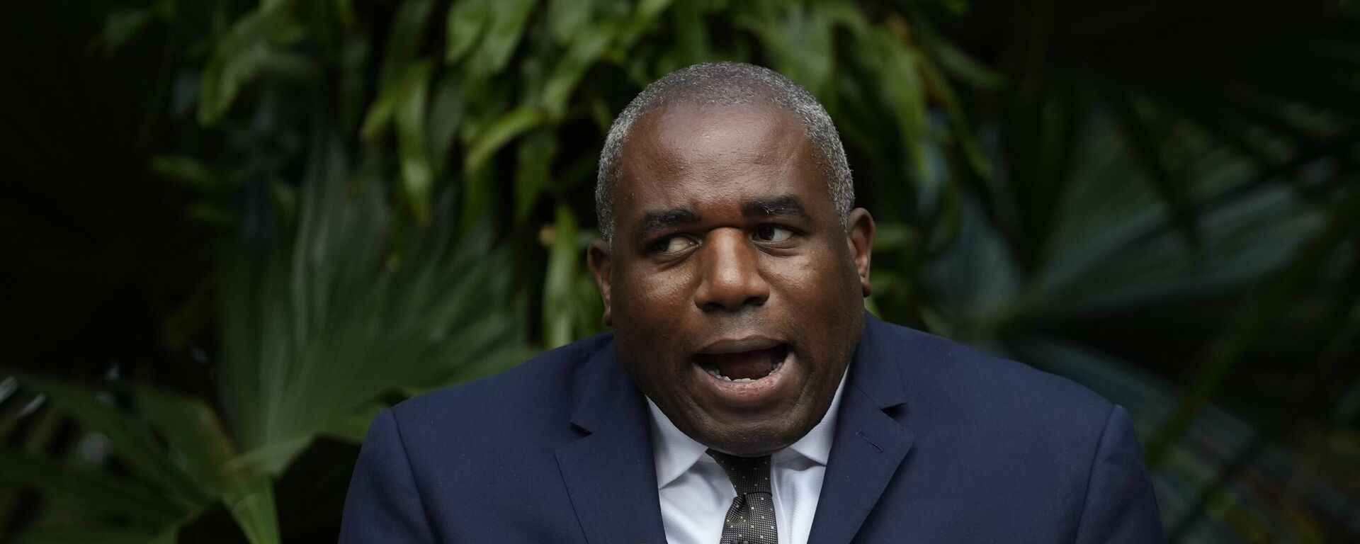 O secretário de Relações Exteriores da Grã-Bretanha, David Lammy, discursa sobre política climática e ambiental no Kew Gardens, em Londres, 17 de setembro de 2024 - Sputnik Brasil, 1920, 22.09.2024