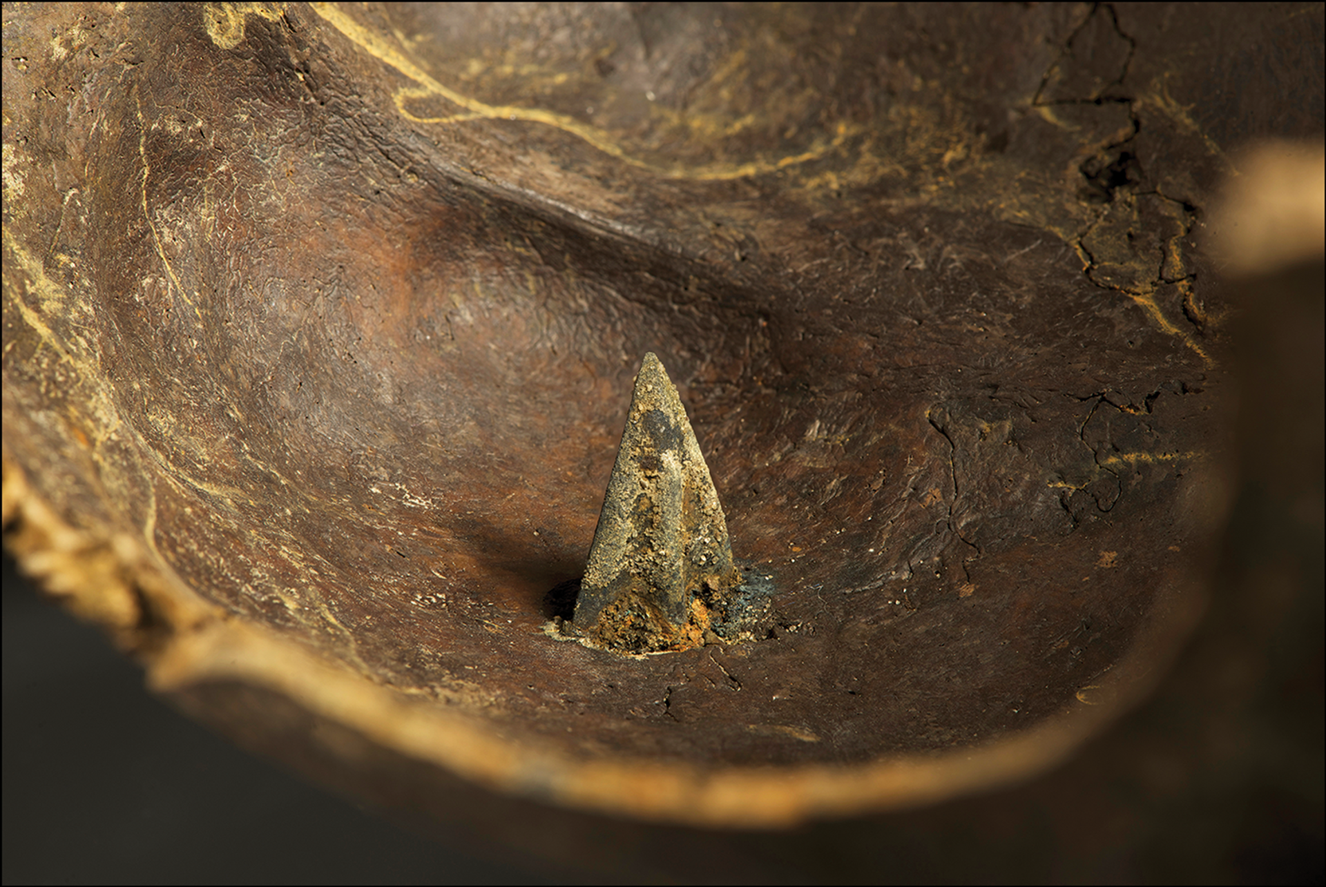 Crânio com ponta de flecha de bronze perfurante (aprox. 35 mm) encontrado em Weltzin 20 (Norte). A imagem revela o dano à ponta da flecha causado pelo impacto - Sputnik Brasil, 1920, 24.09.2024