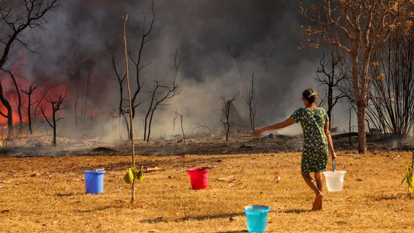 Incêndio atinge o Parque Nacional de Brasília. Bombeiros e populares tentam conter as chamas. Brasil, 15 de setembro de 2024 - Sputnik Brasil