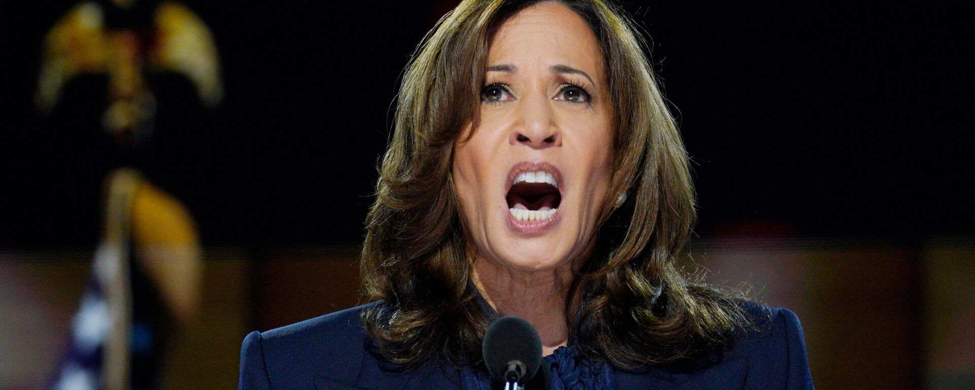 Kamala Harris, vice-presidente dos EUA e candidata democrata à presidência, discursa na 50ª Convenção Nacional do Partido Democrata, em Chicago. - Sputnik Brasil, 1920, 08.10.2024