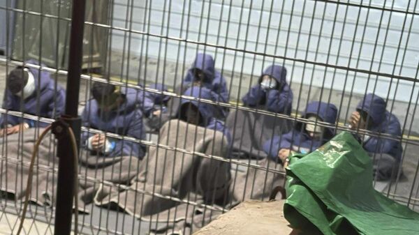 Esta foto sem data de 2023 fornecida pelo Breaking The Silence, uma organização de denúncias criada por ex-soldados israelenses, mostra prisioneiros palestinos capturados na Faixa de Gaza pelas forças israelenses em um centro de detenção na base militar de Sde Teiman, no sul de Israel - Sputnik Brasil