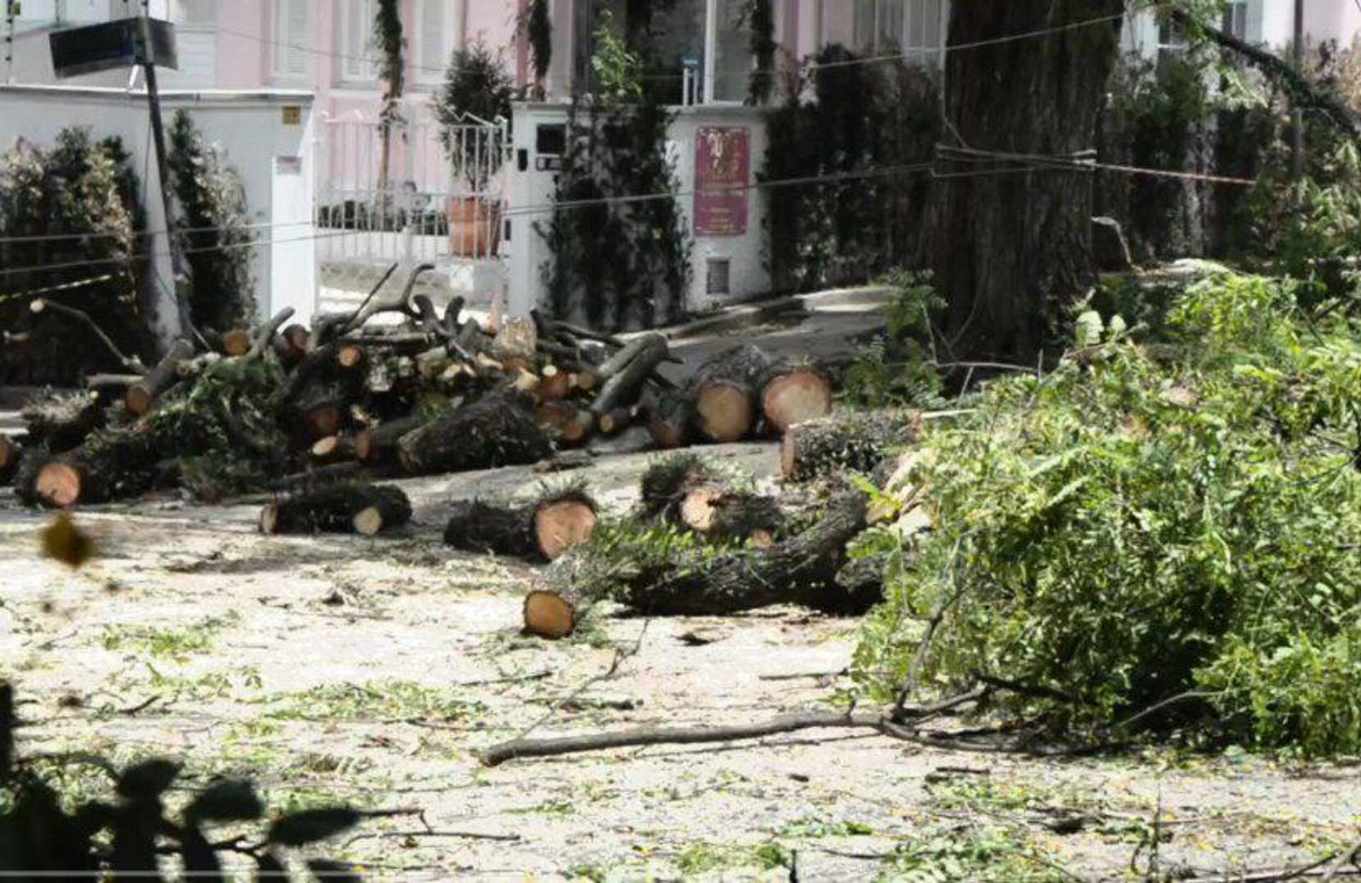 Árvores podadas após temporal e apagão em São Paulo (SP) - Sputnik Brasil, 1920, 15.10.2024