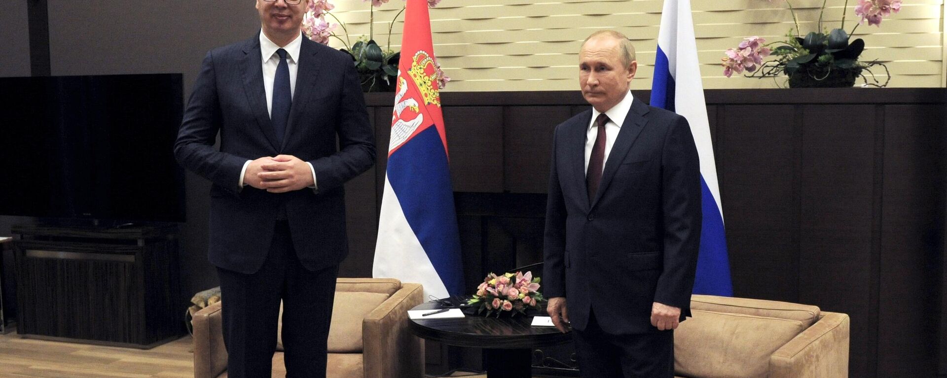 O presidente russo Vladimir Putin (D) e seu homólogo sérvio, Aleksandar Vucic - Sputnik Brasil, 1920, 20.10.2024