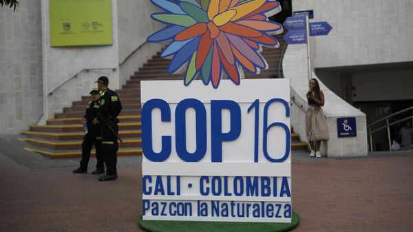  16ª reunião da Conferência das Partes da Convenção sobre Diversidade Biológica (COP16) na cidade colombiana de Cali, em outubro de 2024 - Sputnik Brasil