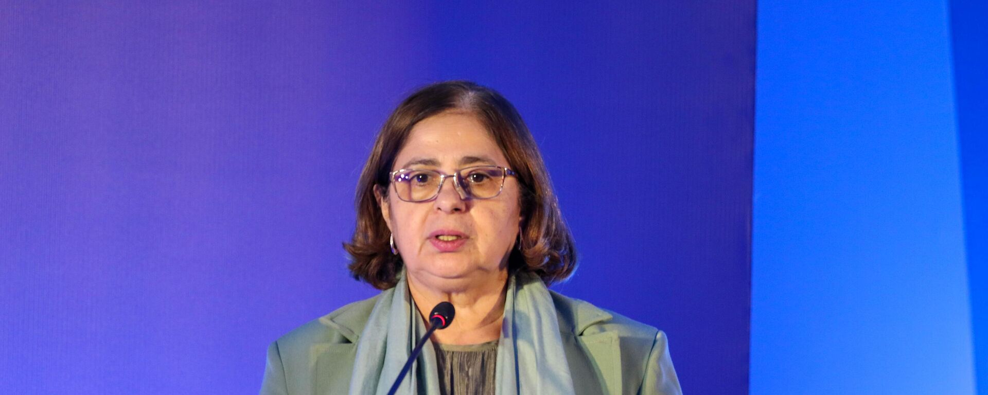  A ministra das Mulheres, Cida Gonçalves, em evento em Brasília - Sputnik Brasil, 1920, 13.11.2024