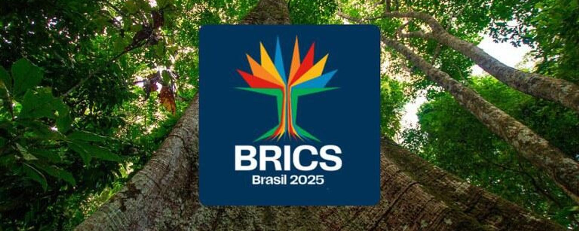 Marca foi desenvolvida para representar a presidência brasileira do Brics em 2025 - Sputnik Brasil, 1920, 25.12.2024