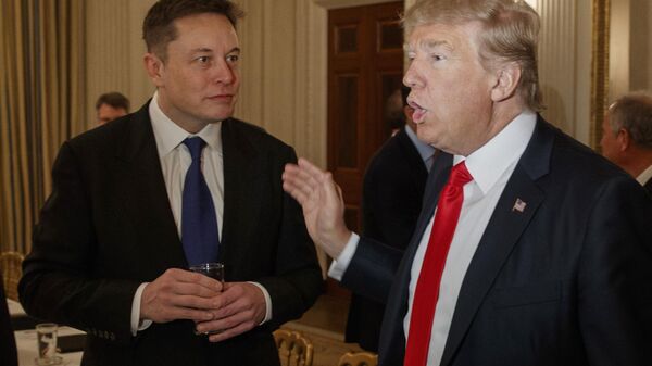 O então presidente dos EUA, Donald Trump, à direita, conversa com o CEO da Tesla e da SpaceX, Elon Musk, na Casa Branca em Washington, em 3 de fevereiro de 2017 (foto de arquivo) - Sputnik Brasil