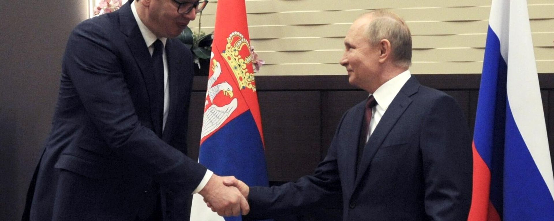 Encontro do presidente russo, Vladimir Putin, com seu homólogo sérvio, Aleksandar Vucic, em 25 de novembro de 2021 Encontro do presidente russo, Vladimir Putin, com seu homólogo sérvio, Aleksandar Vucic, em 25 de novembro de 2021 - Sputnik Brasil, 1920, 24.01.2025