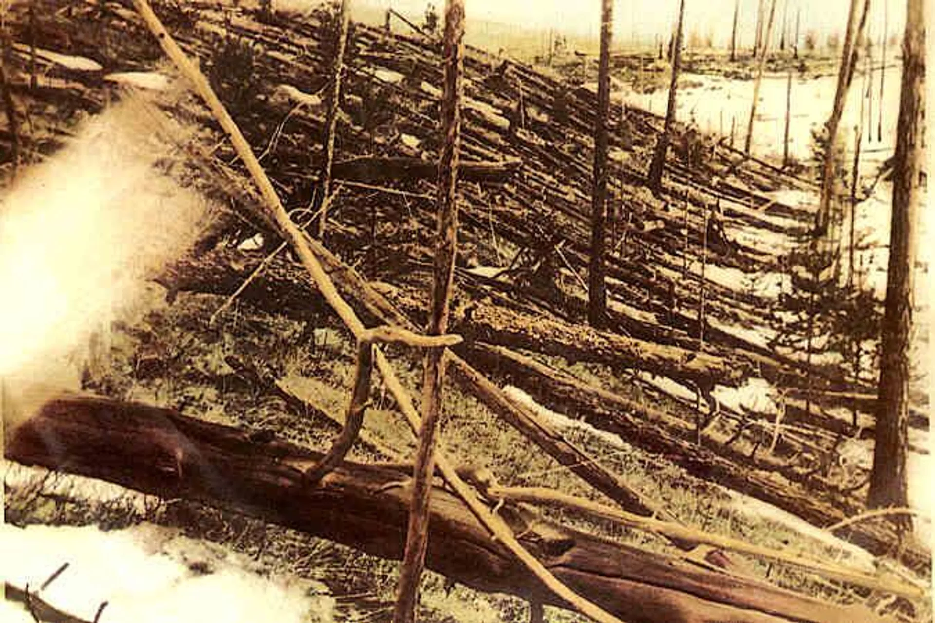 Árvores foram derrubadas e queimadas em centenas de quilômetros quadrados pelo impacto do meteoroide no evento de Tunguska. Esta imagem foi cortada da original, tirada em maio de 1929 durante a expedição de Leonid Kulik - Sputnik Brasil, 1920, 03.02.2025