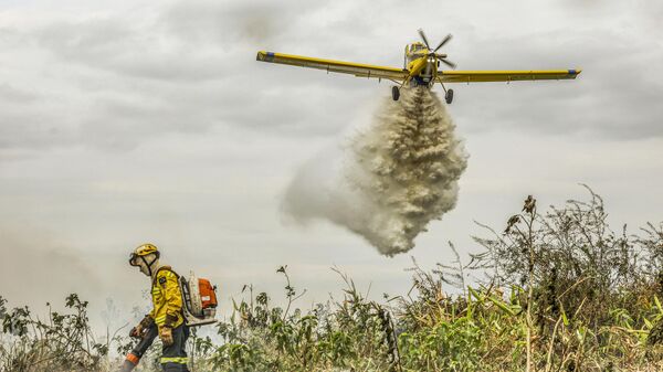 Com o auxílio de aviões, brigadistas do Prevfogo/Ibama combatem incêndios florestais no Pantanal, em 29 de junho de 2024 - Sputnik Brasil