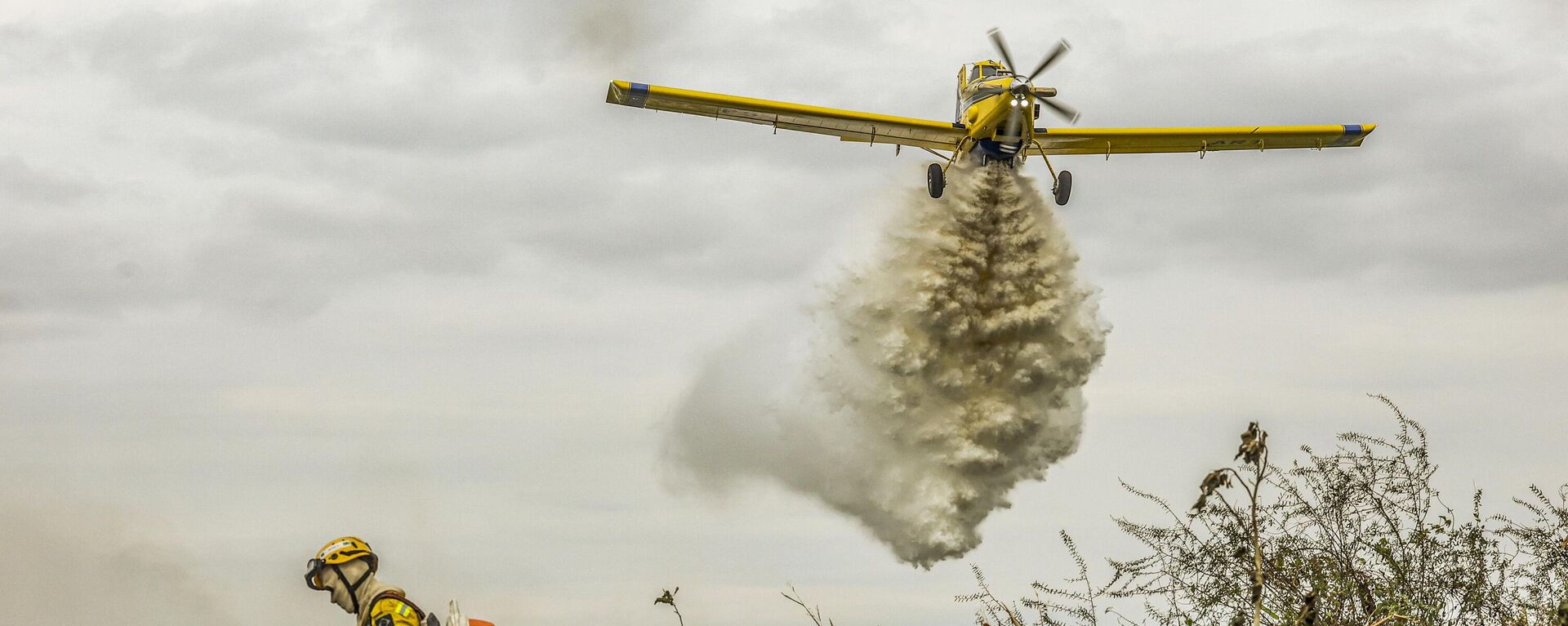 Com o auxílio de aviões, brigadistas do Prevfogo/Ibama combatem incêndios florestais no Pantanal, em 29 de junho de 2024 - Sputnik Brasil, 1920, 11.02.2025