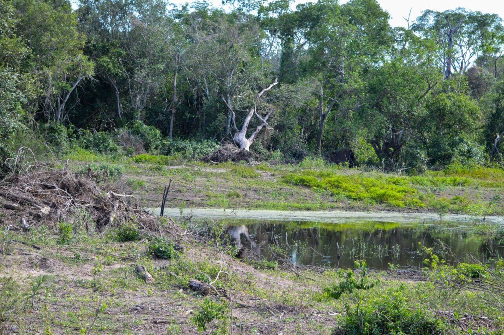 Trechos já dragados no tramo sul do rio Paraguai permanecem inavegáveis nas épocas mais secas - Sputnik Brasil, 1920, 13.02.2025