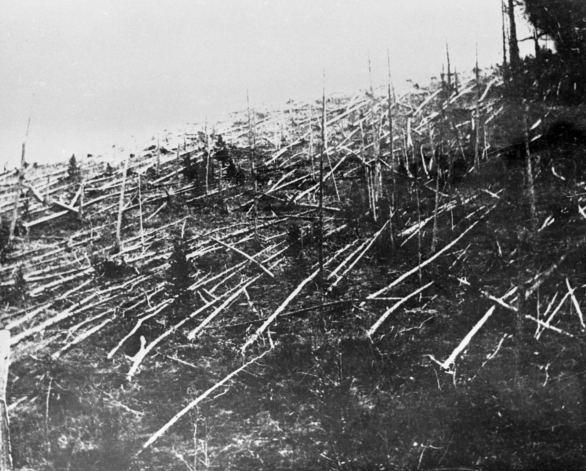 A área onde o meteorito de Tunguska caiu. - Sputnik Brasil, 1920, 14.02.2025