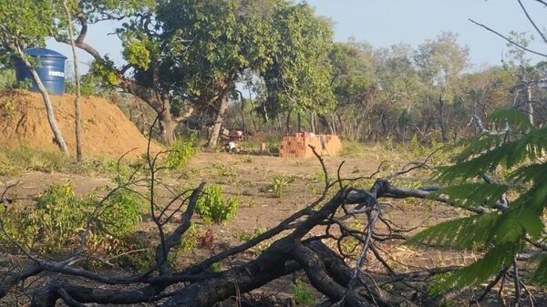 Desmatamento do Cerrado e início da construção de casas em área grilada do território em processo de identificação e delimitação pela Funai desde 2018, no Piauí - Sputnik Brasil