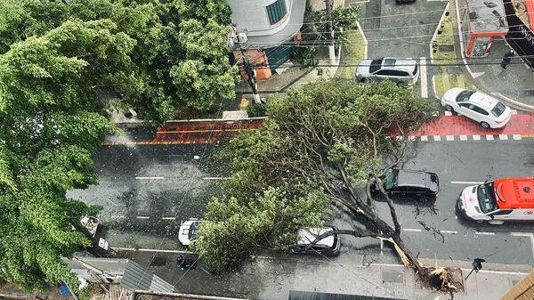 Um taxista morreu e cerca de 170 mil imóveis ficaram sem energia elétrica após um temporal que atingiu a cidade de São Paulo nesta quarta-feira (12) - Sputnik Brasil