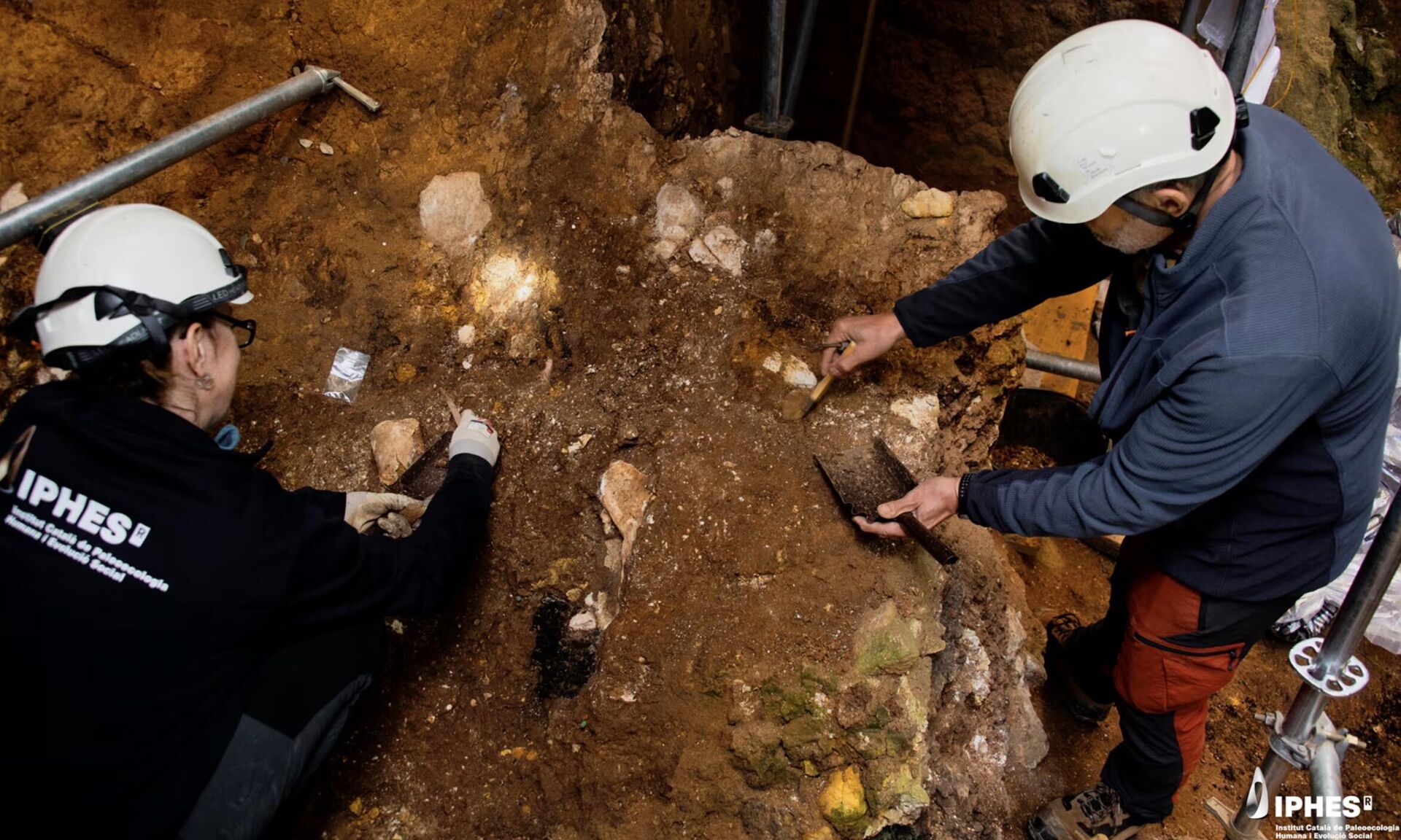 Arqueólogos desenterrando os ossos faciais da caverna Sima del Elefante, perto de Atapuerca, em Burgos. - Sputnik Brasil, 1920, 14.03.2025