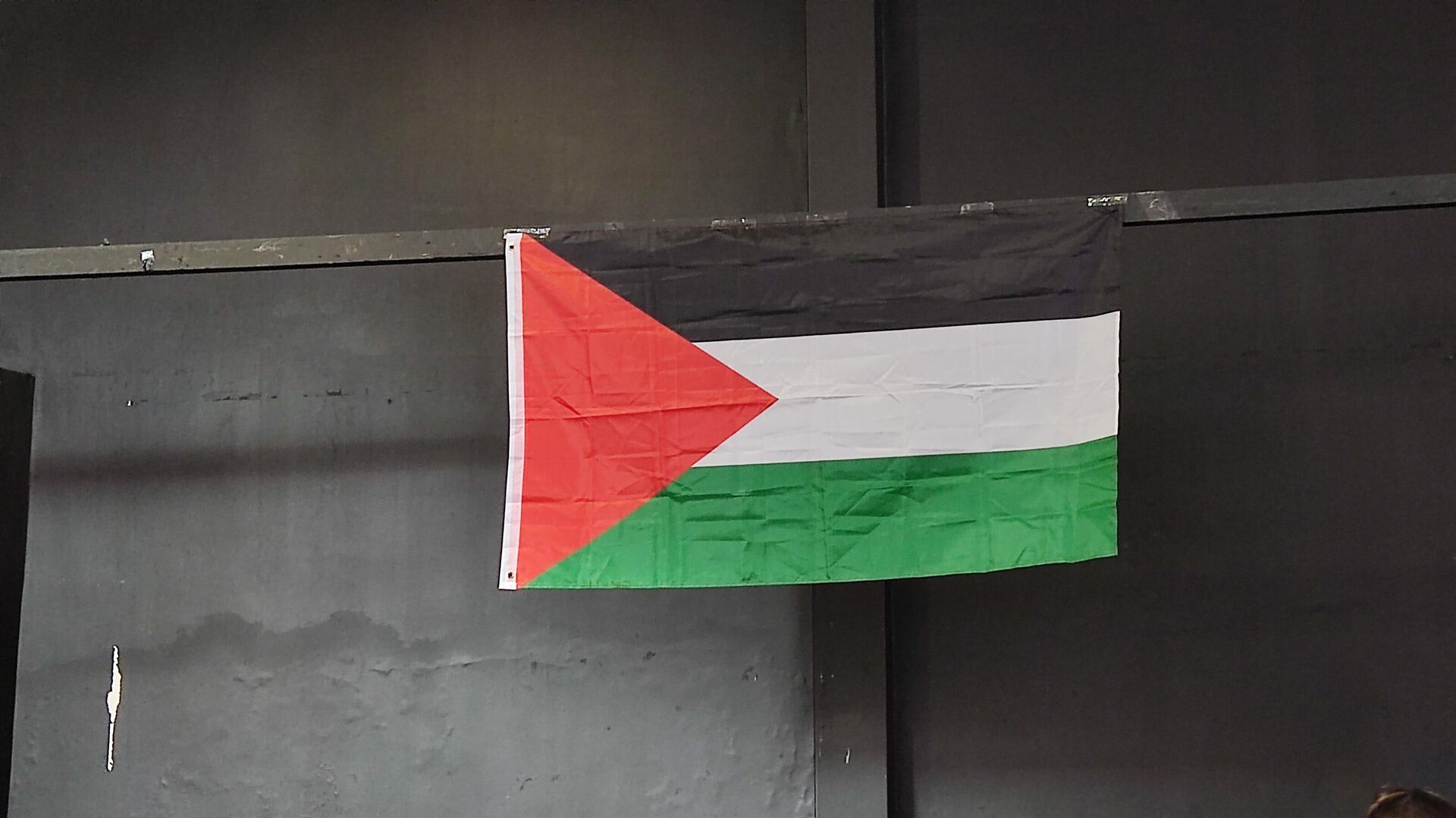 Evento em São Paulo contou com apoio do Núcleo Palestina São Paulo, do Fórum Latino Palestino e da própria FEPAL. Brasil, 05 de abril de 2025 Evento em São Paulo contou com apoio do Núcleo Palestina São Paulo, do Fórum Latino Palestino e da própria FEPAL. Brasil, 05 de abril de 2025 - Sputnik Brasil, 1920, 05.04.2025