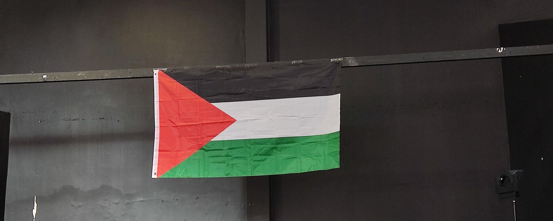 Evento em São Paulo contou com apoio do Núcleo Palestina São Paulo, do Fórum Latino Palestino e da própria FEPAL. Brasil, 05 de abril de 2025 - Sputnik Brasil, 1920, 05.04.2025
