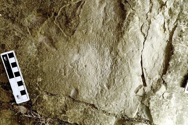 Espécime referido por Ruopodosaurus clava do Sítio de Rastros de Wolverine. A, fotografia de rastros in situ, não coletados; B, close-up da impressão digital dos pés, identificada como Lp1 em C, mostrando a preservação das impressões cutâneas; C, desenho interpretativo; e D, mapa de elevação do modelo fotogramétrico. Abreviações: E, esquerda; m, mão; p, pés; D, direita - Sputnik Brasil