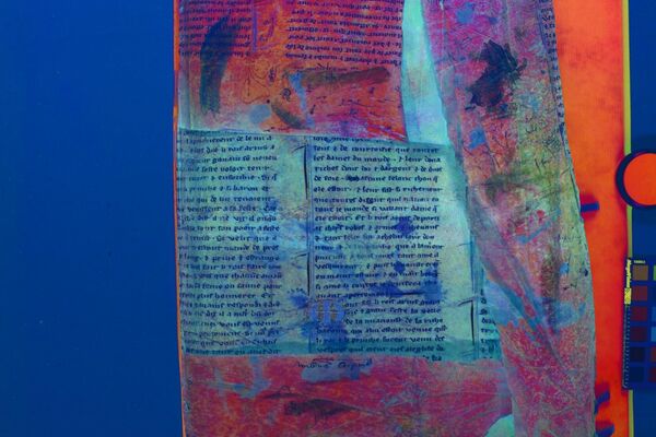 Imagem multiespectral: Análise de Componentes Principais (ACP) da contracapa interna - Sputnik Brasil