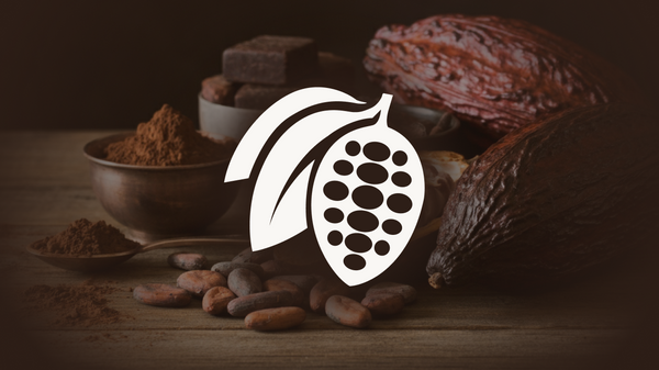 África concentra 65% da produção de cacau do mundo: conheça os líderes por trás do chocolate - Sputnik Brasil