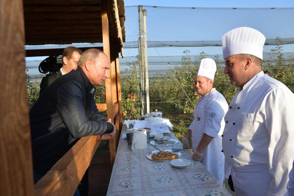 Presidente da Rússia Vladimir Putin durante uma visita à empresa agrícola Rassvet na região de Stavropol, 9 de outubro de 2018 - Sputnik Brasil