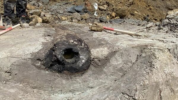 Arqueólogos encontram tubulação de água de madeira romana no subsolo de Leuven, Bélgica - Sputnik Brasil