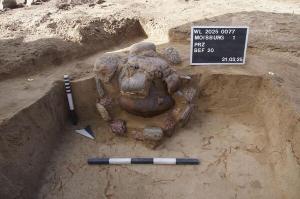 Urna da Idade do Bronze Tardia encontrada durante escavações arqueológicas perto de Moisburg, Alemanha - Sputnik Brasil