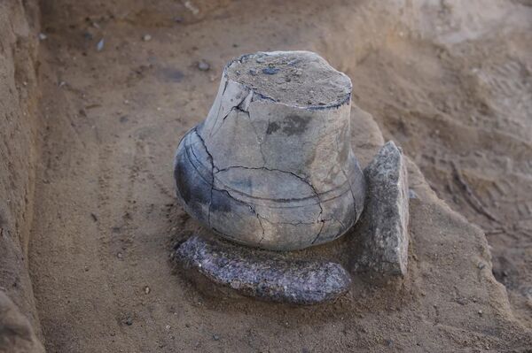 Urna da Idade do Bronze Tardia encontrada durante escavações arqueológicas perto de Moisburg, Alemanha - Sputnik Brasil