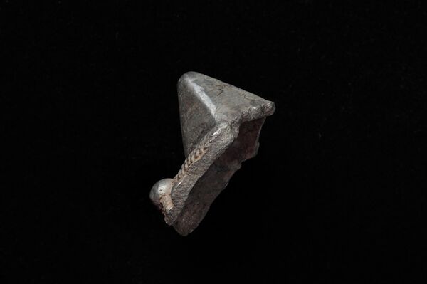 Fragmento da cabeça de uma arma de bronze do século XII descoberta na região russa de Tula - Sputnik Brasil