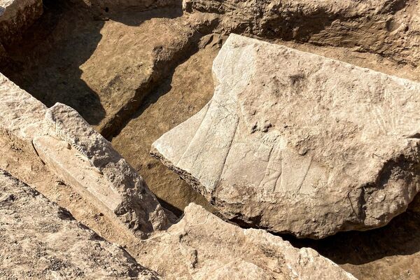 Fragmento do relevo descoberto - Sputnik Brasil